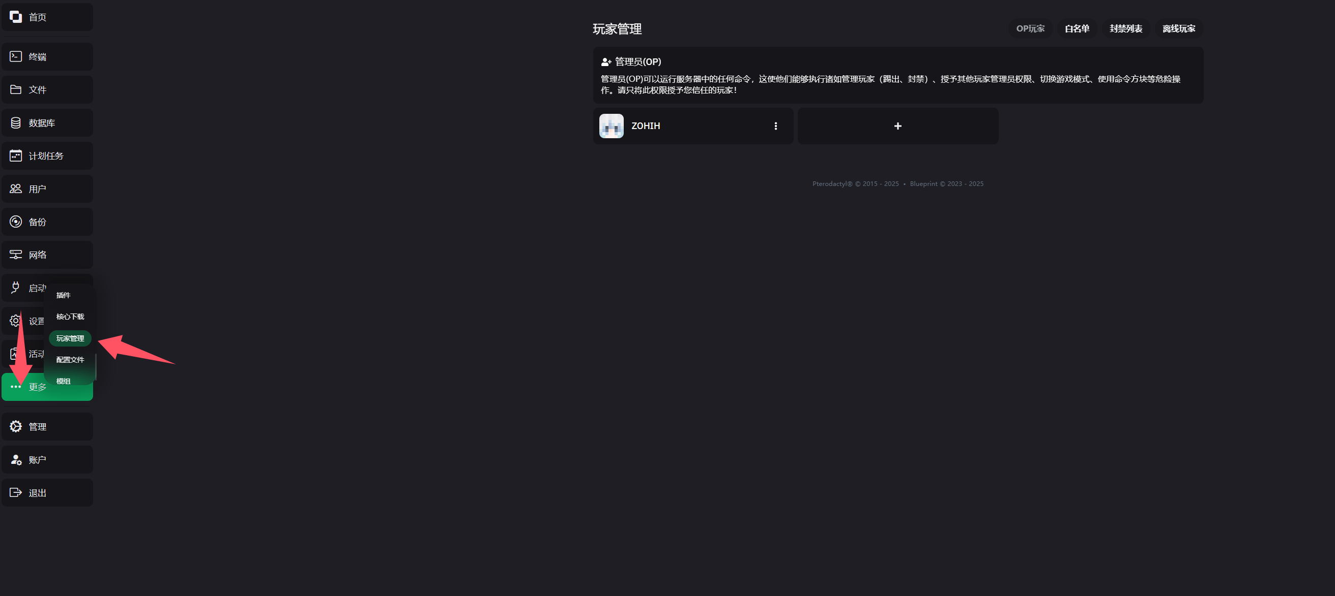 玩家管理界面